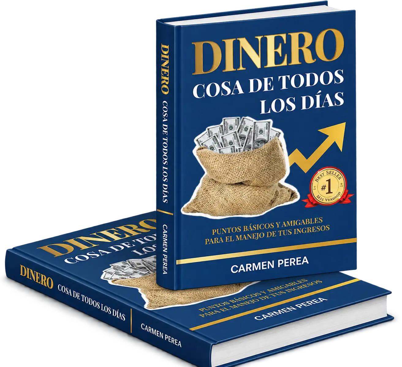 Portada del libro Dinero, cosa de todos los días, de Carmen Perea
